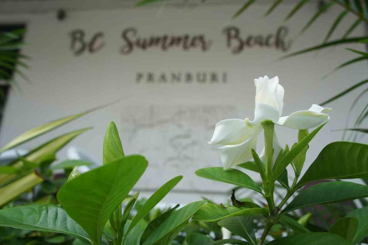 Bc Summer Beach プランブリー エクステリア 写真